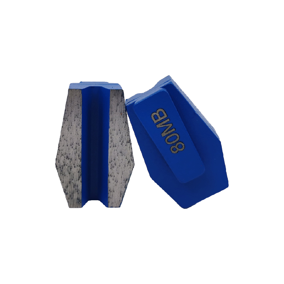 Schwamborn Double Segments Diamond Grinding Disc (SCB-S2)